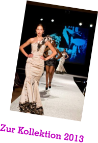 Zur Kollektion 2013